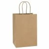 Classic Store Kraft Gift Bags