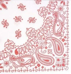 Tavola Paisley Red Airlaid Napkins (25) Tabletop