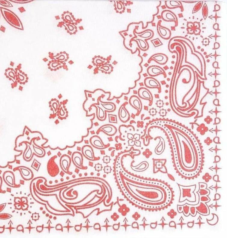 Tavola Paisley Red Airlaid Napkins (25) Tabletop 1 Tavola Paisley Red Airlaid Napkins (25) Tabletop