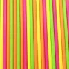 Must Love Party Pop Of Colour - Tropical Brights Paper Straws