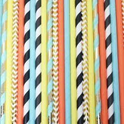 Must Love Party Pop Of Colour - Into The Wild Paper Straws