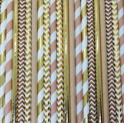 Must Love Party Pop Of Colour -Tropi Chic Paper Straws