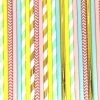 Must Love Party Pop Of Colour - Circus Carnival Straws