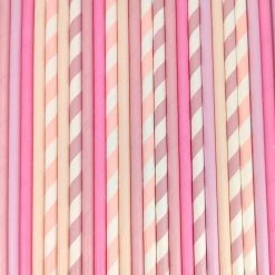 Must Love Party Pop Of Colour - Pinks Paper Straws