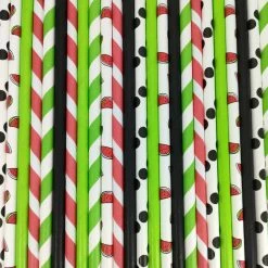 Must Love Party Pop Of Colour - Watermelon Paper Straws
