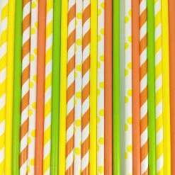 Must Love Party Pop Of Colour - Citrus Paper Straws