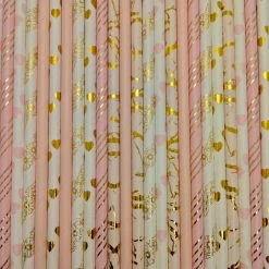 Fancy Parties Pop Of Colour - Just Peachy Paper Straws