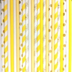 Must Love Party Pop Of Colour - Daisy Paper Straws