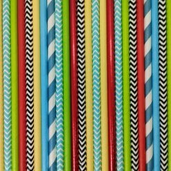 Must Love Party Pop Of Colour - Train Paper Straws