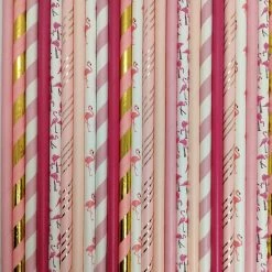 Must Love Party Pop Of Colour - Flamingo Paper Straws