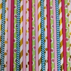 Must Love Party Pop Of Colour - Bridgeton Paper Straws