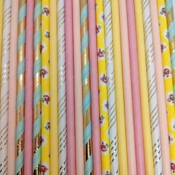 Must Love Party Pop Of Colour - Princess Paper Straws