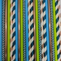 Must Love Party Pop Of Colour - Dinosaur Paper Straws