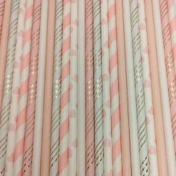 Party Deco Pop Of Colour - Ballet Paper Straws