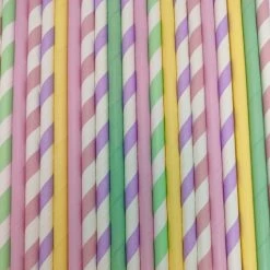 Must Love Party Pop Of Colour - Pastel Rainbow Paper Straws