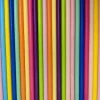 Must Love Party Pop Of Colour - Rainbow Paper Straws