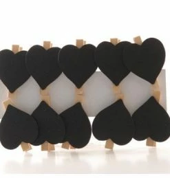 Must Love Party Heart Solid Pegs